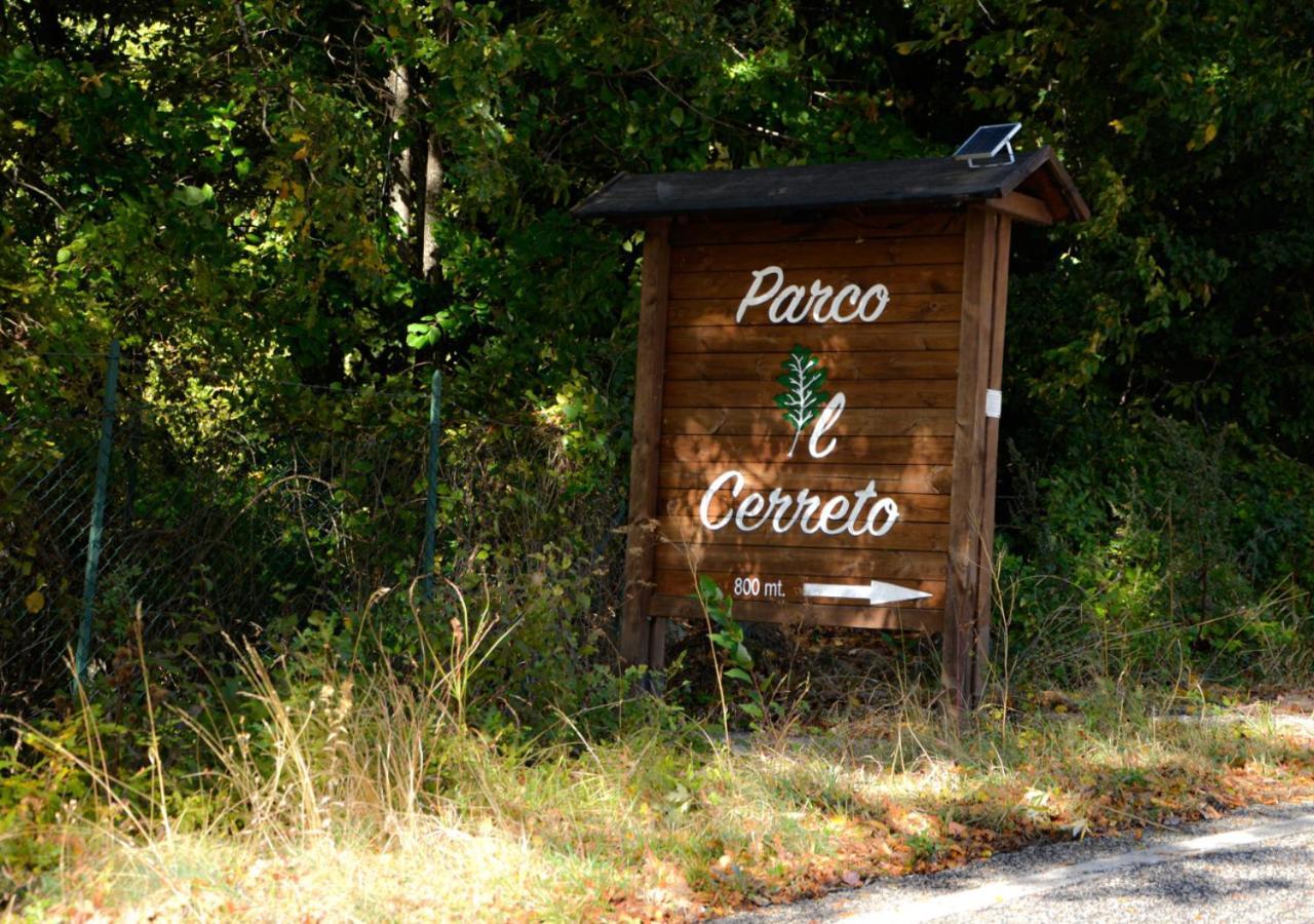- A Pochi Minuti Di Auto Dalle Piste Immerso Nel Holiday home *